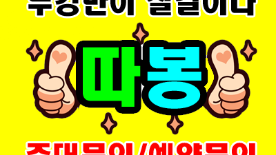 용기의 여정: 켄러의 명언과 울산 뉴월드 나이트에서 찾은 희망