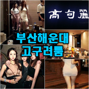 해운대고구려